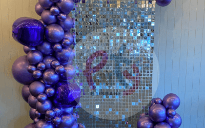 Single Shimmer Panel Backdrop