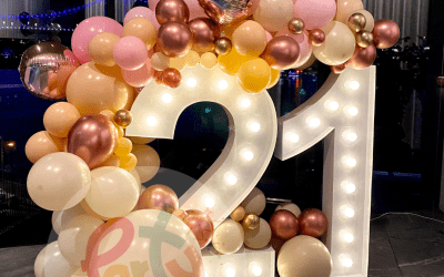 Light Up Number – Single Garland