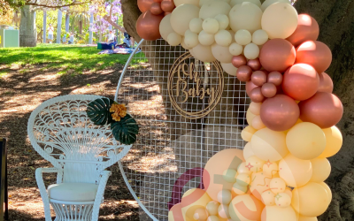 Circular Mesh Backdrop