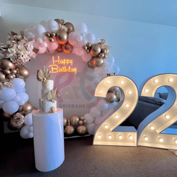 Balloon Hoop Light up Number Backdrop