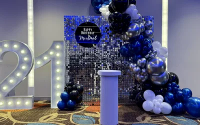 Double Shimmer Wall Backdrop