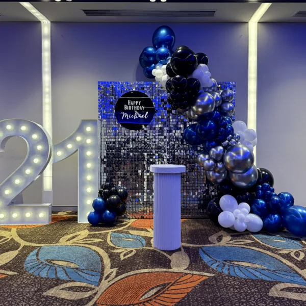 Double Shimmer Wall Backdrop