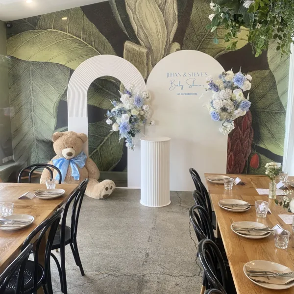Double Arch Teddy Bear Backdrop